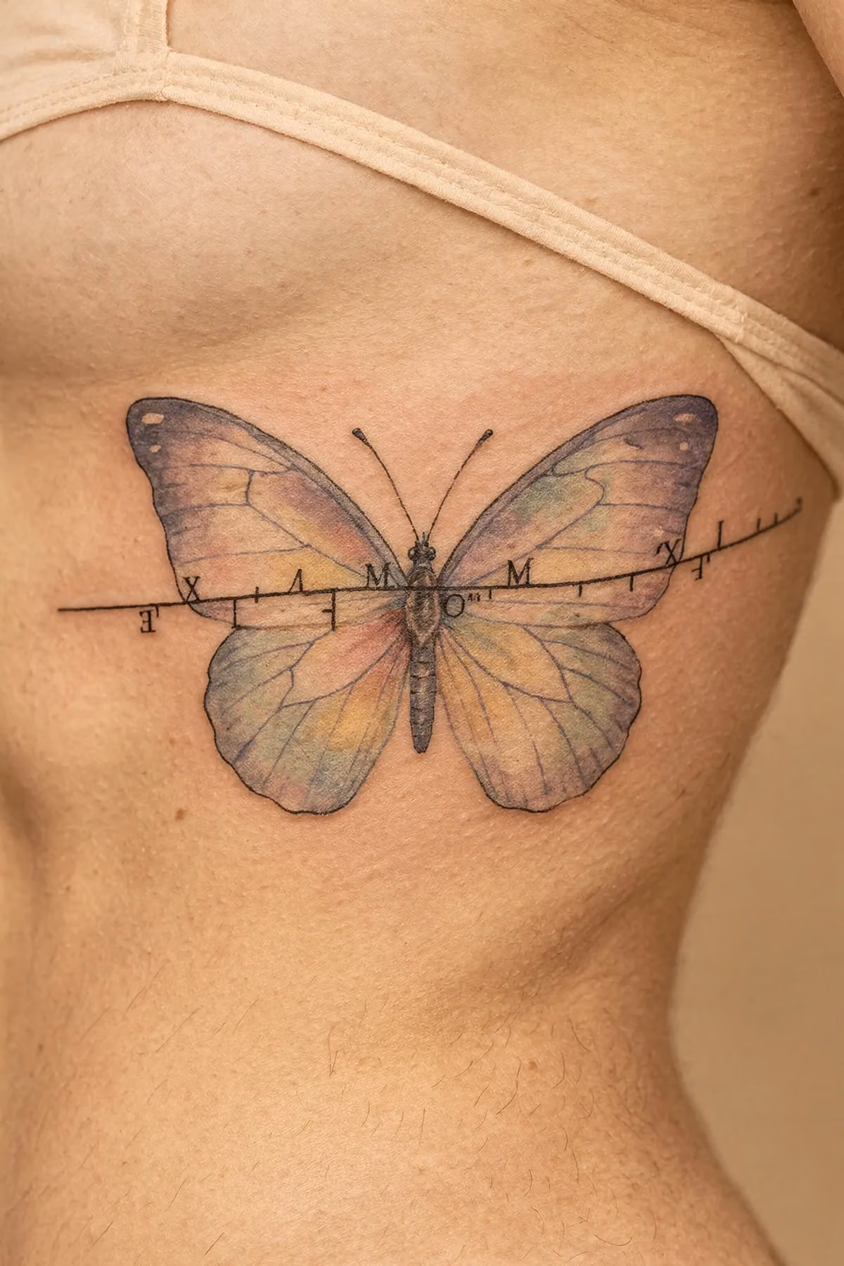 Schmetterling an der Seitenrippe mit feiner Linie geografischer Koordinaten.